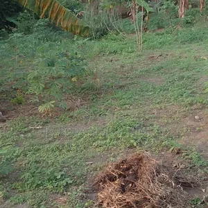 Land Selling at Eleko Magbon