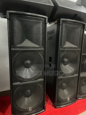 Standard Japan Full-Range Professional Speaker Big Coil