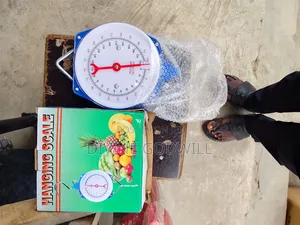 100kg Hanging Scale