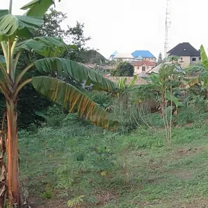 10 Hectares Pure Dry Land Available for Sale