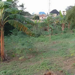 60 Plots of Land Facing Ogombo Road
