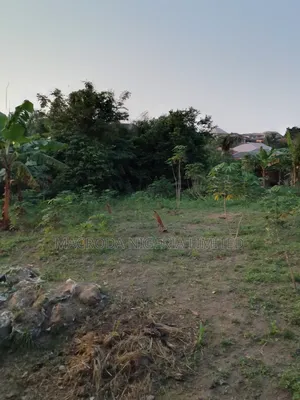 20 Acres of Pure Dry Land Available