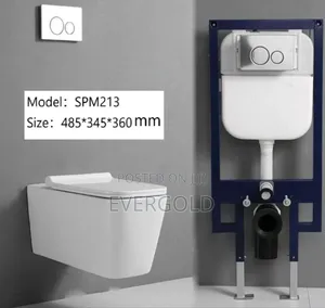 Conceal Water Closet With Complete Accessories And Sure Guaranteed