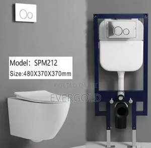 England High Quality Conceal Water Closet With Complete Accessories