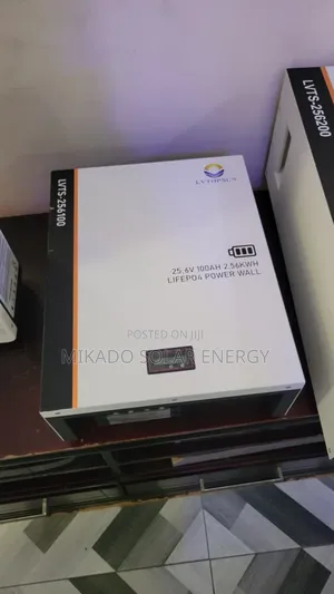 Lvtopsun 2.5kwh Lithium Battery–Reliable Power Storage for Home Other