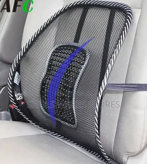 Car Seat Lumber Support Mesh