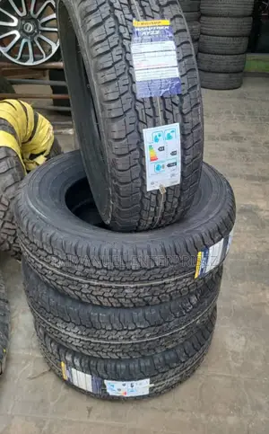 265/65r17 Dunlop Tire