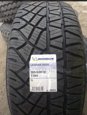 265/60r18 Michelin Tire