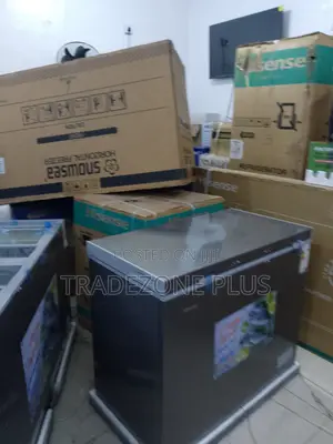220l Snowsea High-Capacity Deep Freezer