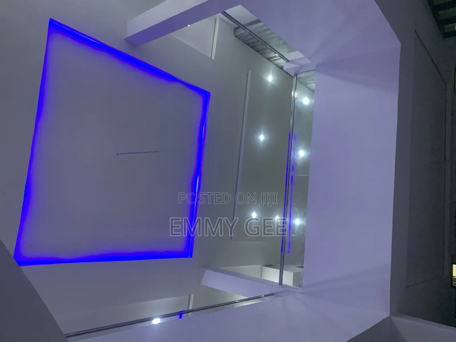 Professional Electrician