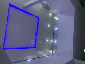 Professional Electrician