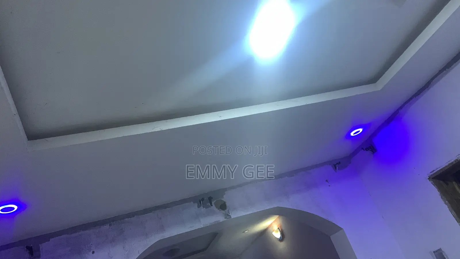 Professional Electrician