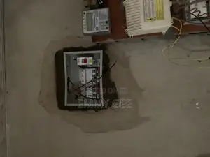 Professional Electrician