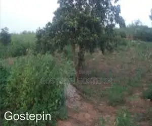 Buy, Build and Live Estate Plot