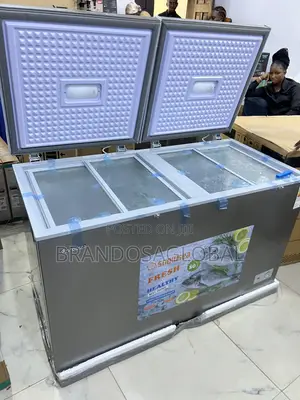 Snowsea Bd-600g 420l Double Door Freezer With Stable Temperature Hold