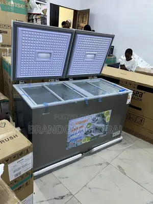 Snowsea Bd-600g 420l Freezer With Rapid Chill Technology