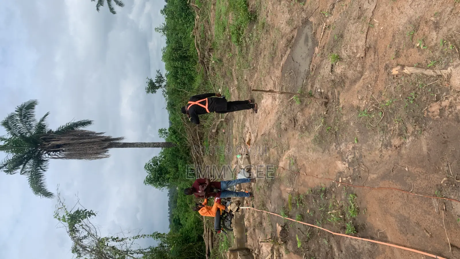 Borehole Drilling