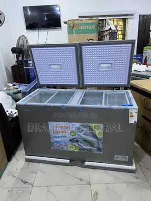 Snowsea 420l Bd-600g Freezer With Removable Storage Baskets