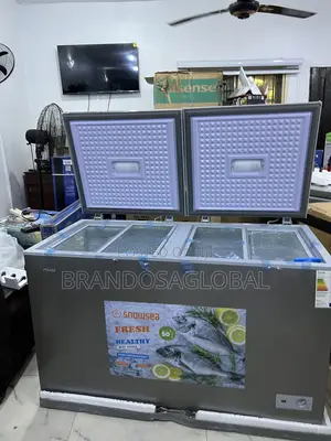 Snowsea 420l Chest Freezer Bd-600g With Long-Lasting Compressor
