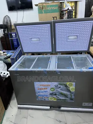 Snowsea 420l Bd-600g Dual Door Freezer With Quick Recovery Cooling
