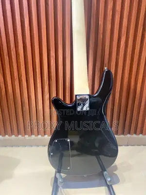 Fender Bass Guitar
