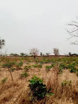 Land for Sale at Apo 
2000 Sqms, Cofo Collected