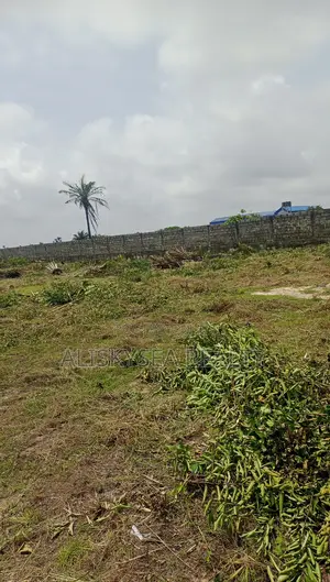 Dryland Behind Amen Estate With C of O