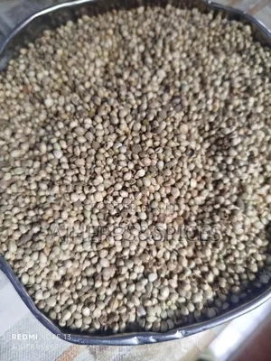 Vitex Seeds