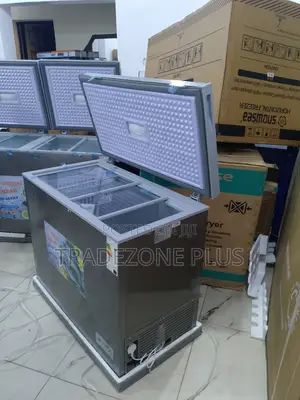 220l Snowsea Big-Capacity Shop Freezer