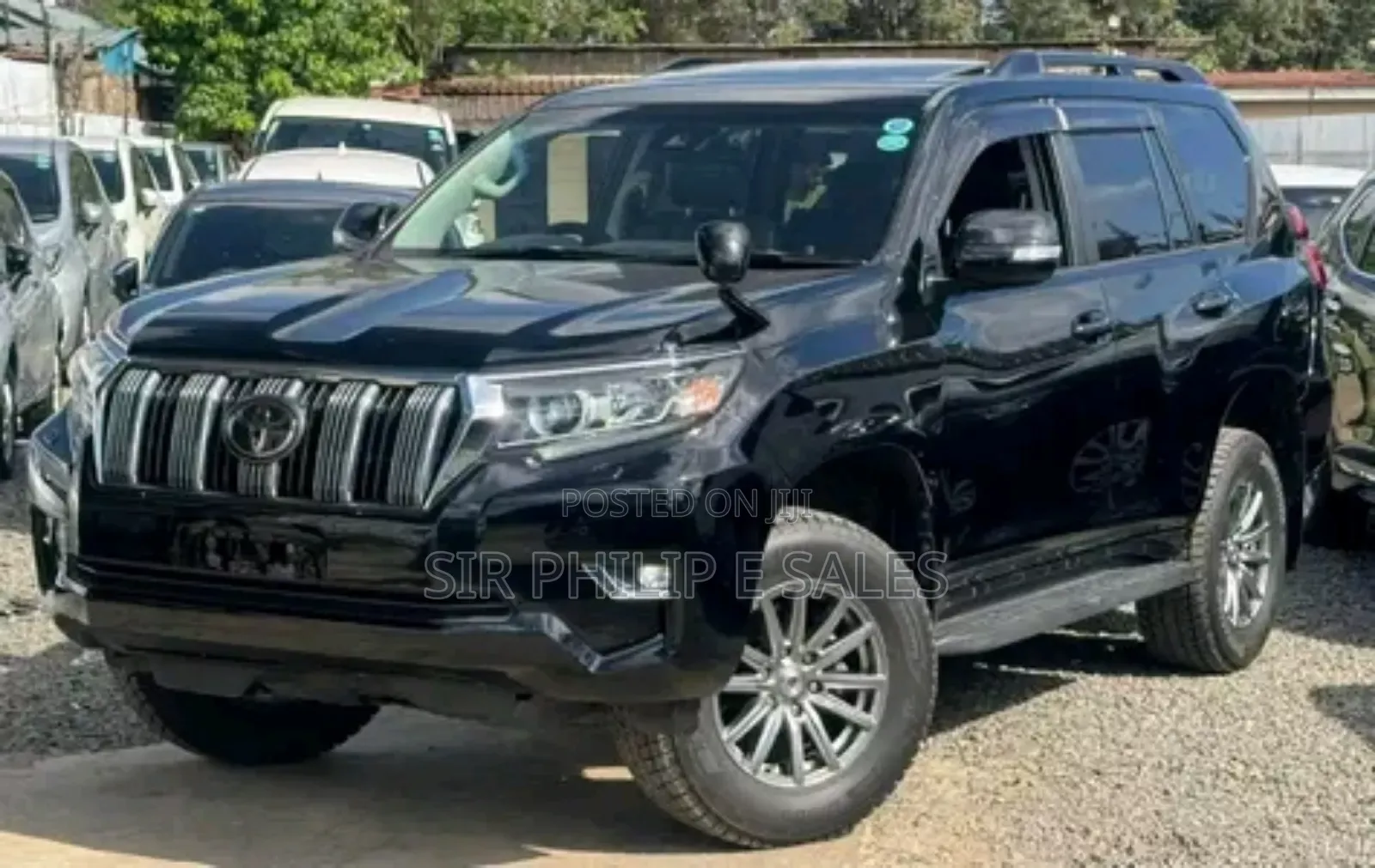 Clean Prado for Hire