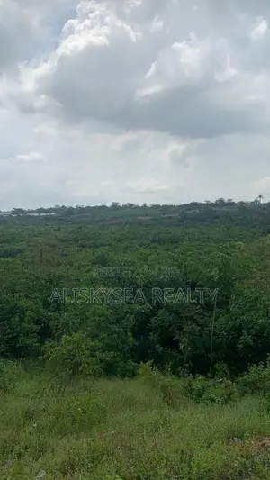 30 Hectares Of Land For Sale In Badagry