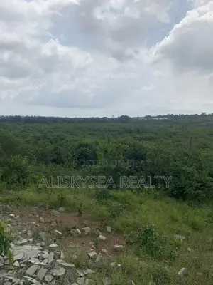 30 Hectares Of Land For Sale In Badagry