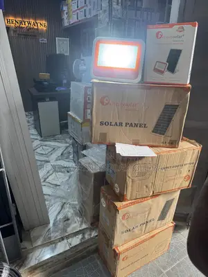 100watts Felicity Flood Light
