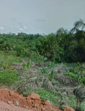 Amen Estate Phase 2: One Plot for Sale