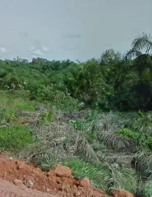 Amen Estate Phase 2: One Plot for Sale