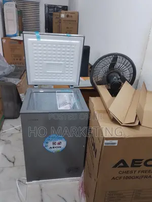 Heavy Duty Aeon 100l Deep Freezer for Commercial Use