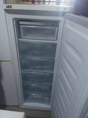 Standing Freezer for Block or Home Use