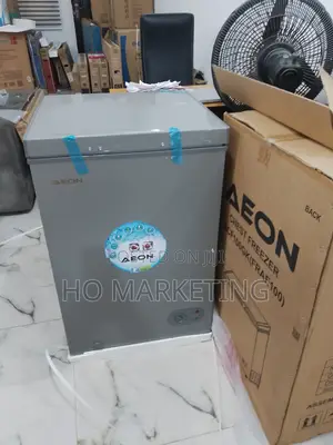 Aeon 100l Deep Freezer: Low Voltage Starter (100v-260v)