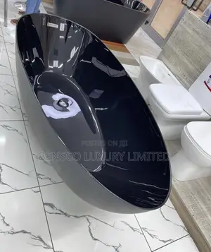 Luxury Black and White Interior Bathtub