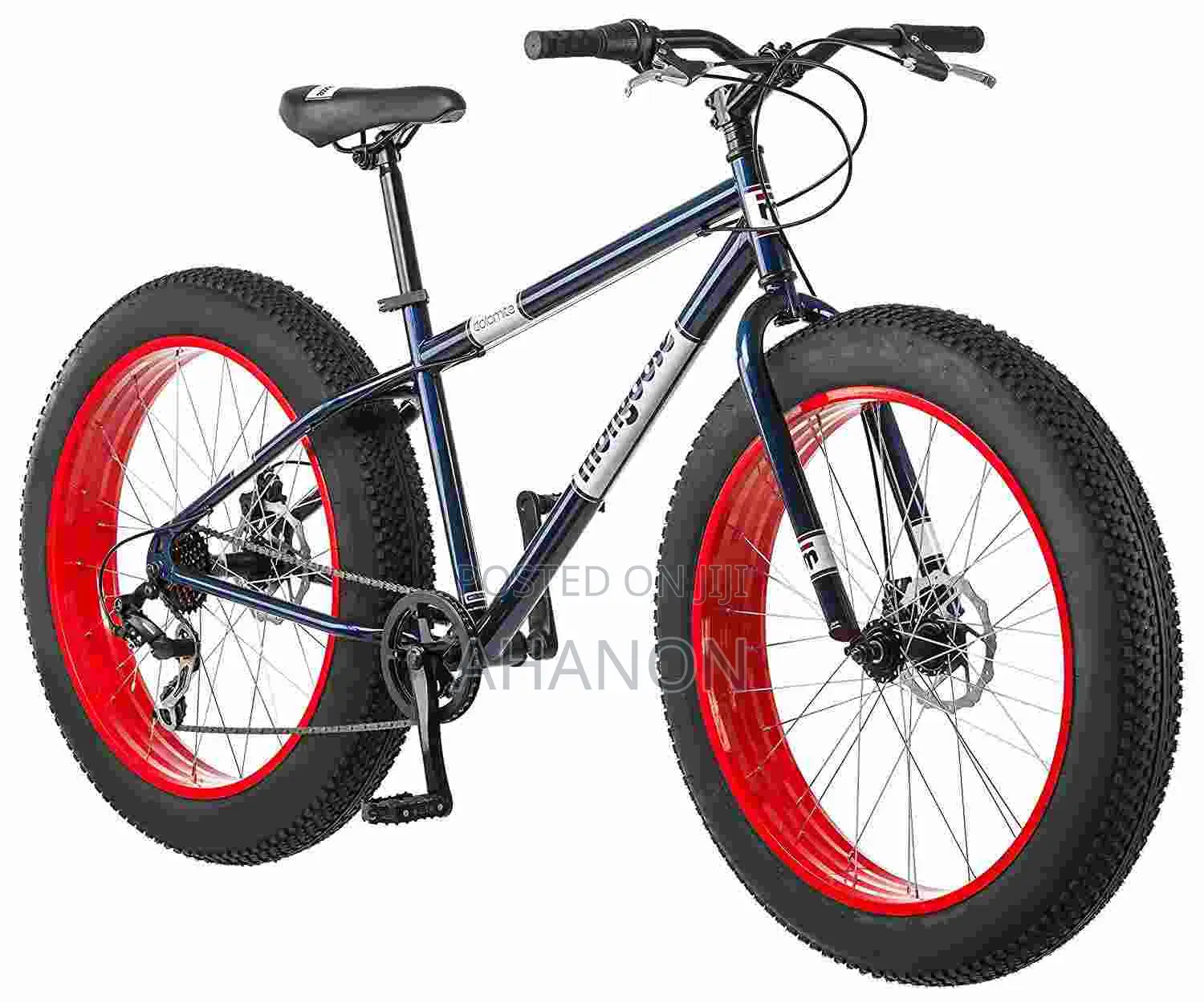 Beautiful Bicycle