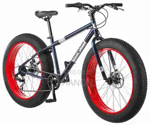 Beautiful Bicycle