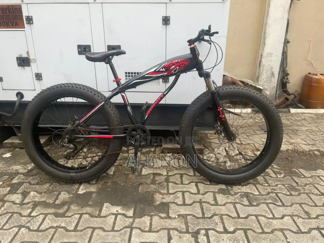 Beautiful Bicycle