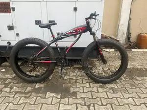 Beautiful Bicycle