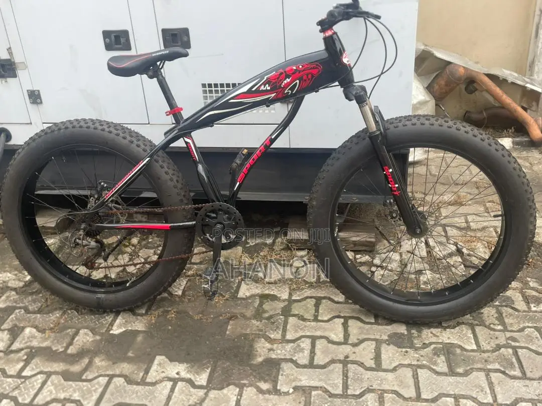 Beautiful Bicycle