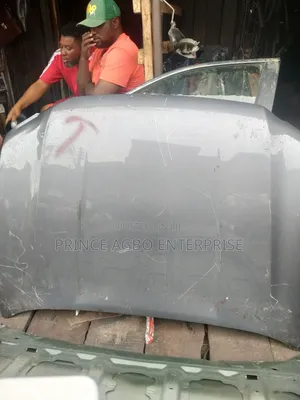 Lexus Bonnet Gx 460 2011