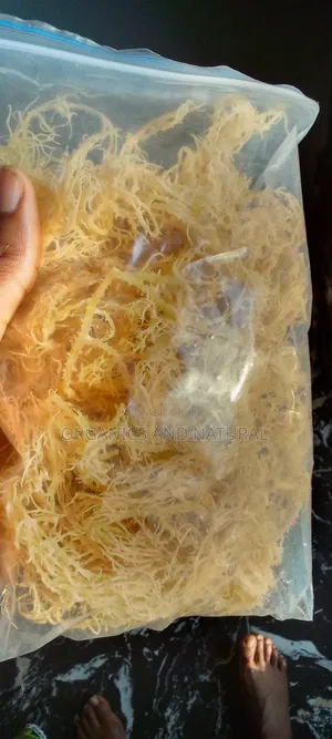 100g Raw Gold Seamoss