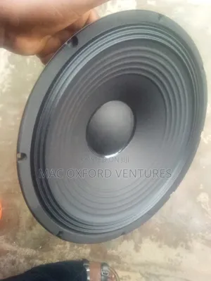 15" Suny Best Speaker