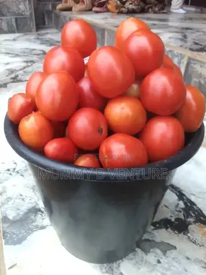 Fresh Tomatoes and Fresh Pepper