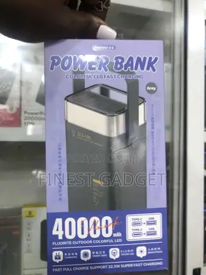 RPP-596 40000mah Power Bank