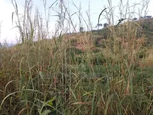 326 SQM of Land at Okpebe Amodu-Akwunanaw Nkanu West Lga Enugu for 4m.